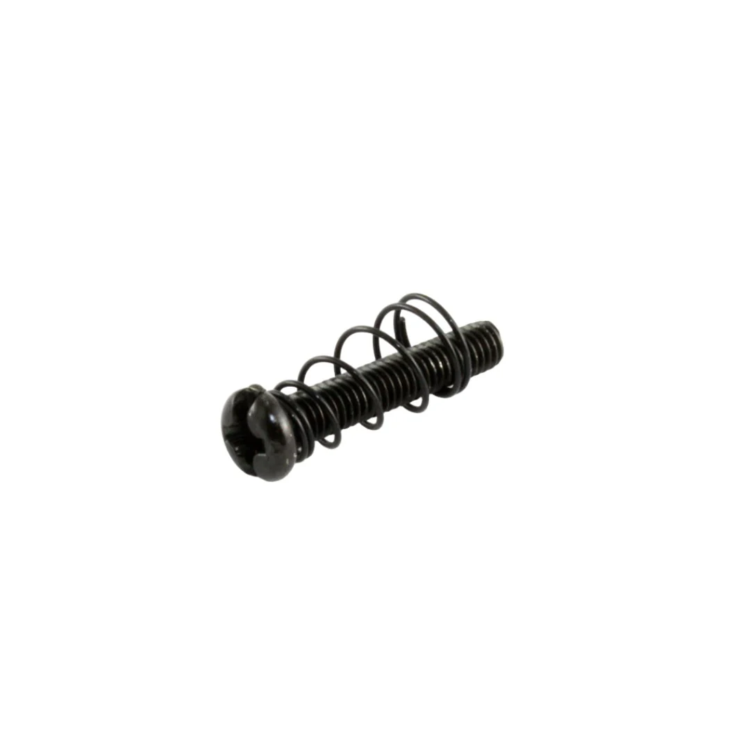 Allparts Metric Bridge Length Screws and Springs - Image 2