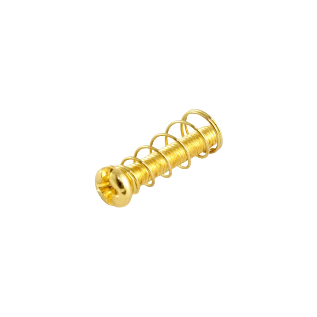 Allparts Metric Bridge Length Screws and Springs - Image 3