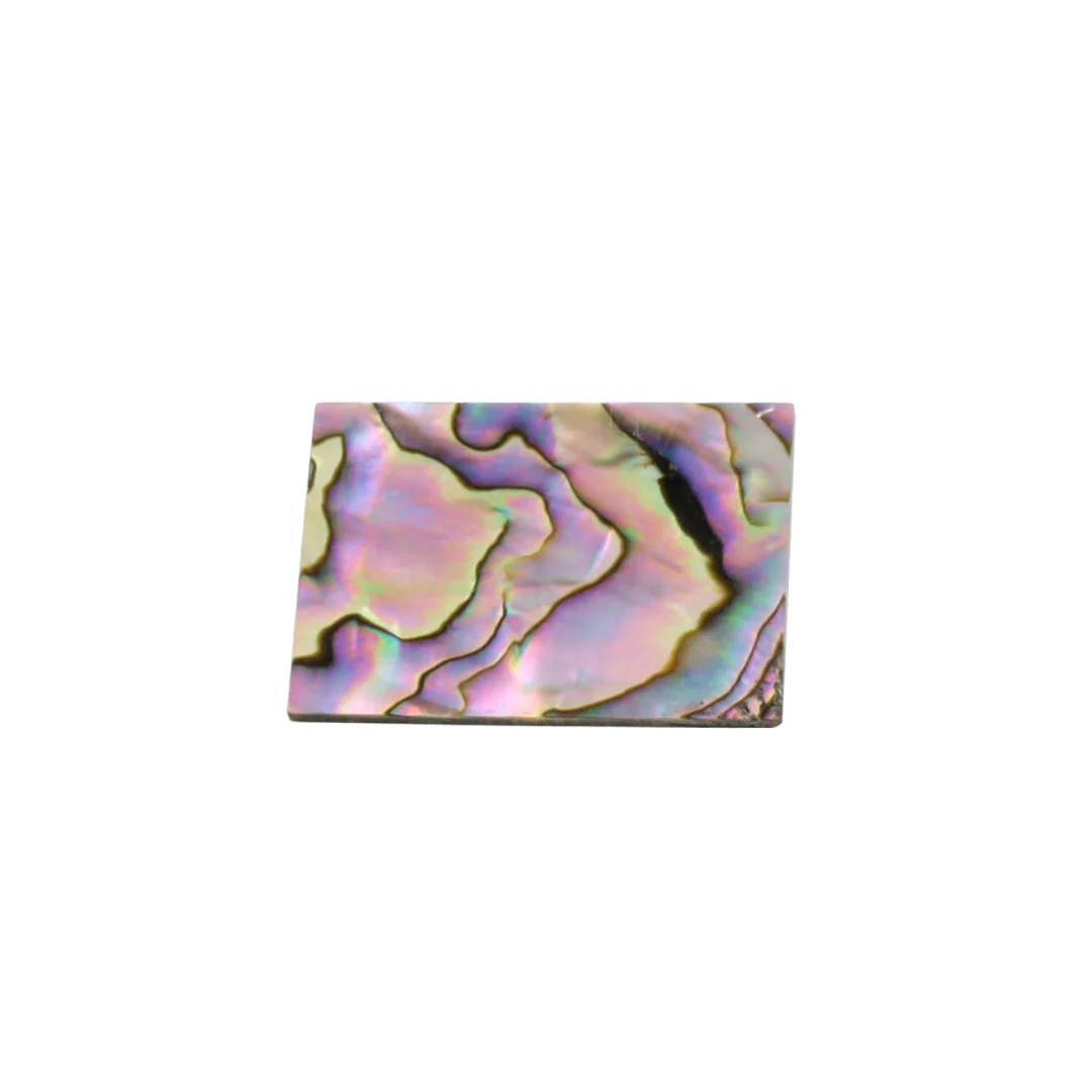LT-1470 Large Organic Shell Blank - Image 2