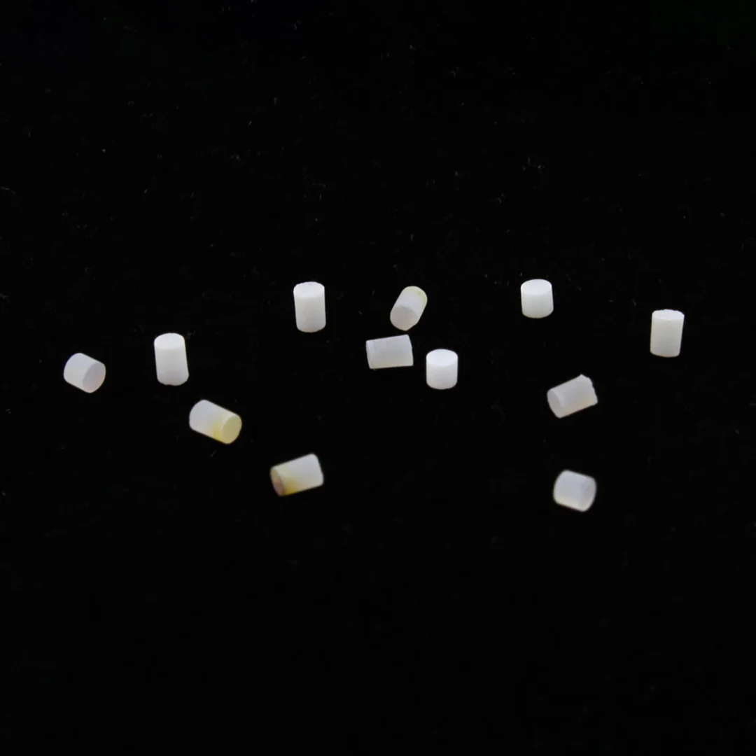 LT-5499-080 1.5 mm Mother of Pearl Side Dots, 12 pcs