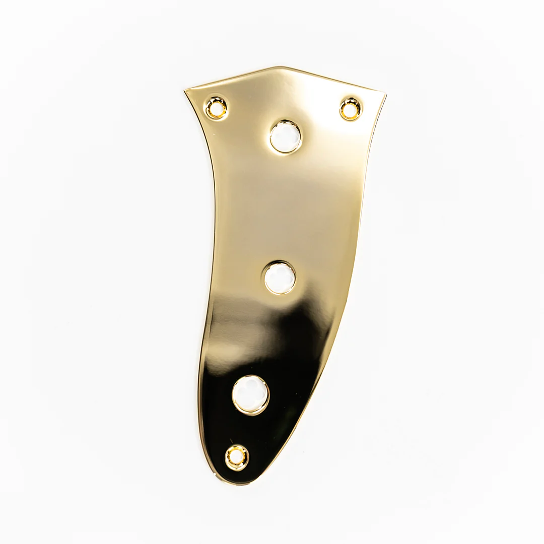PRiMO Mustang Bass Control Plate - Image 3